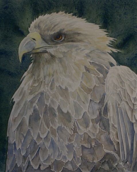 EAGLE