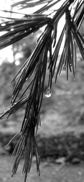 Droplet