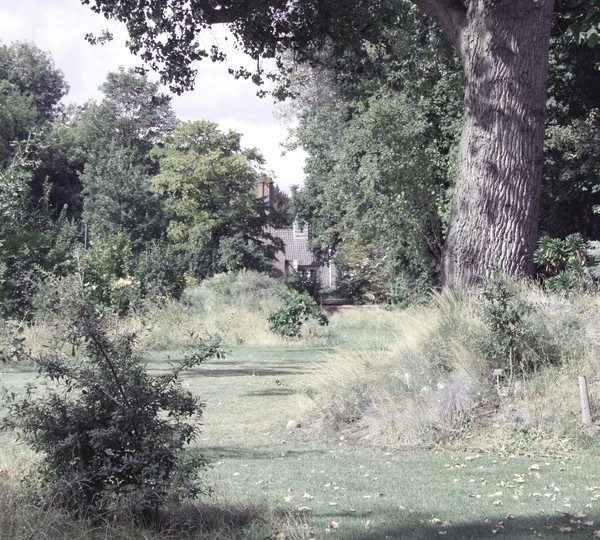 Countryside