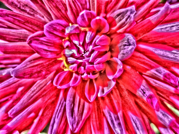 abstract red