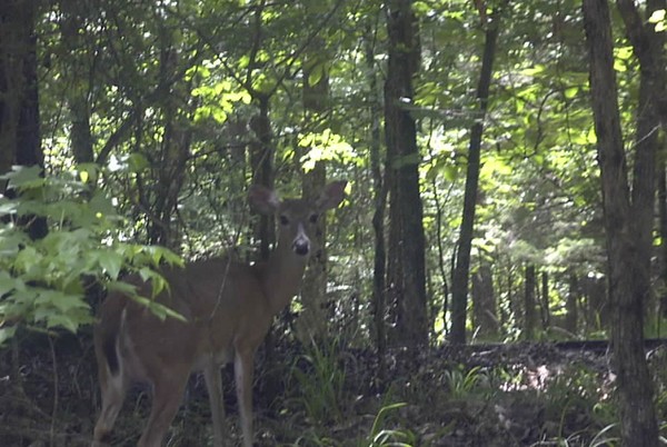 Chance Encounter