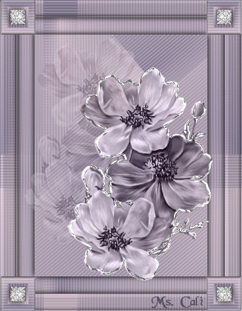 Gradient Frame