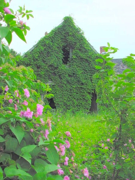 Old Farm House Frontal