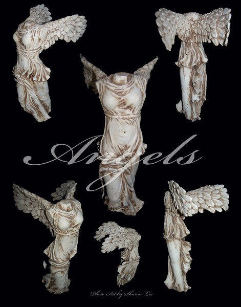 Angel Collage