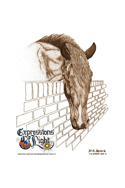 ExpoLight-Graphic-Arts-Horse-Over-The-Wall-1984-0001 (Pen-&-Ink-Sepia-SP)