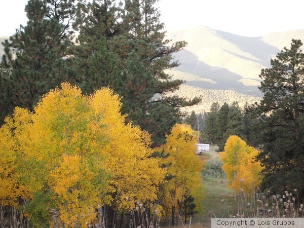 Fall Foilage Sept 2011 My camera 009