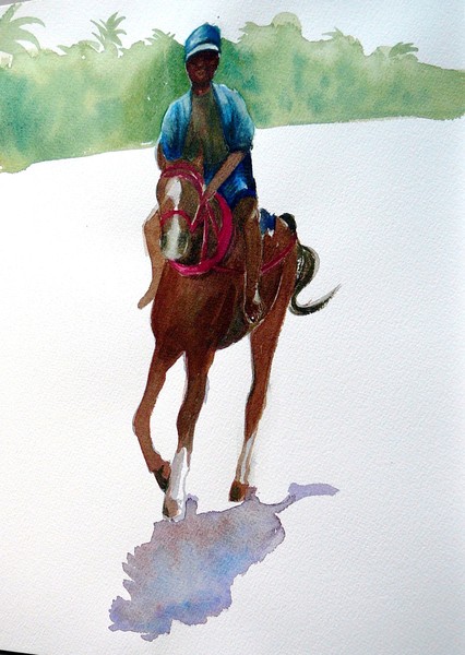 Boy on a horse