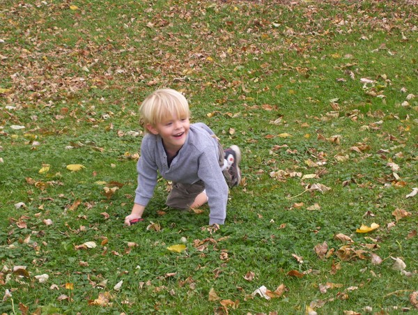 autumn