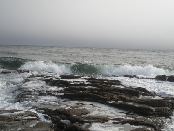 Waves 7