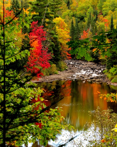 Northern Wisconsin Beauty!