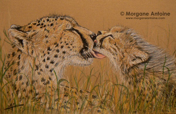 Tender Kiss