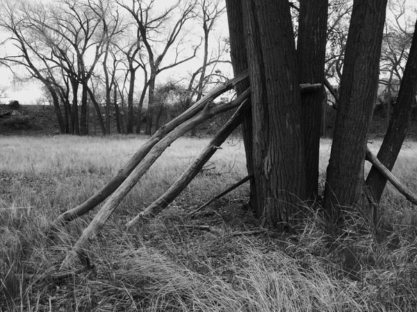Dayton State Park, one