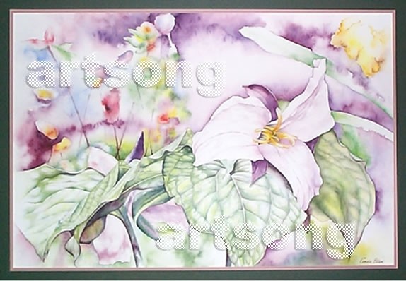 Garden Plants