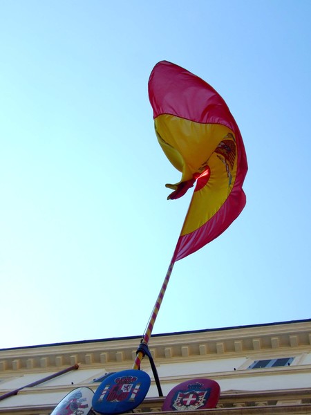 Flag in the wind.
