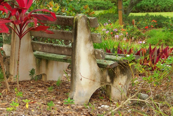 Grandmother's Garden