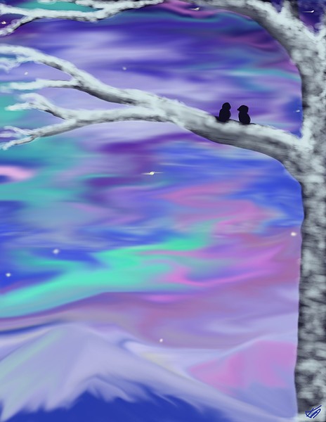 Northern Night II