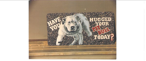 Pitbull Car Tag