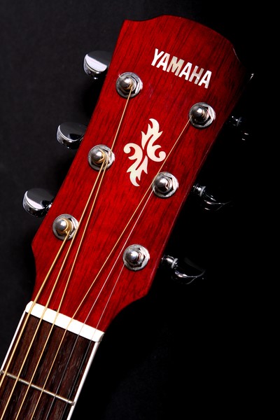 yamaha apx500