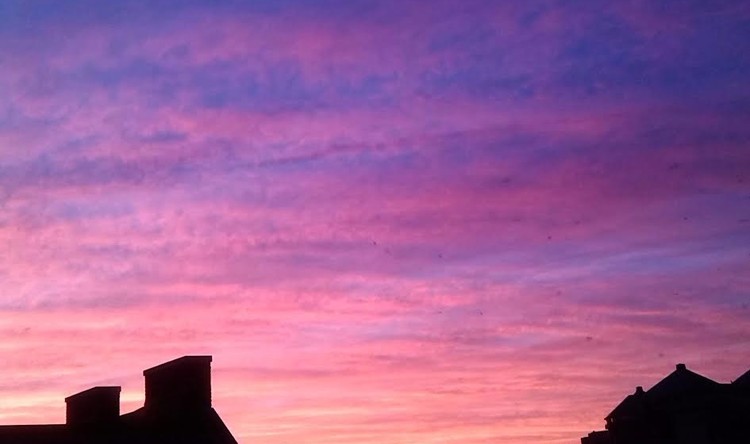 Pink Sunset Sky