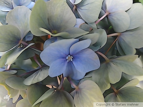 blue touched