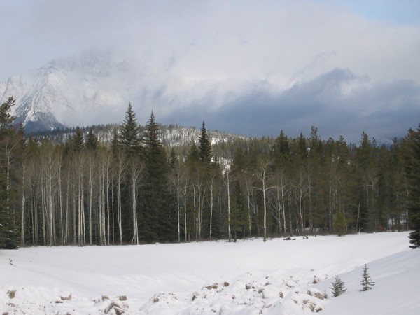 snow dump