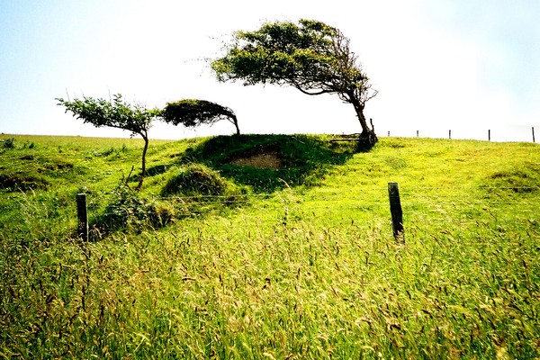 East Wind, Cuckmere