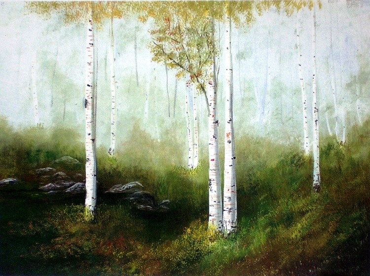 Fall Birches