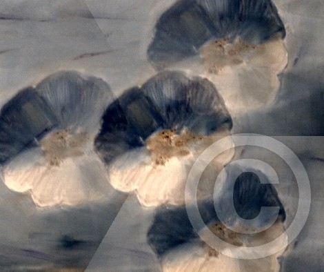 Abstract 10