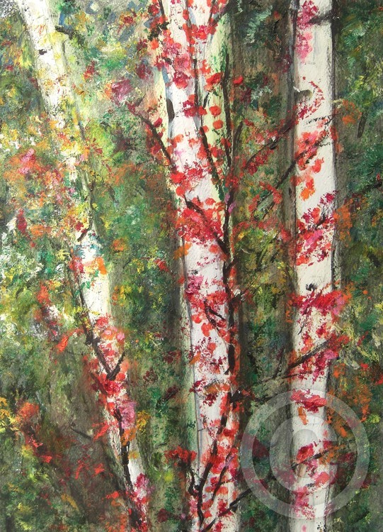 White Birch In Fall
