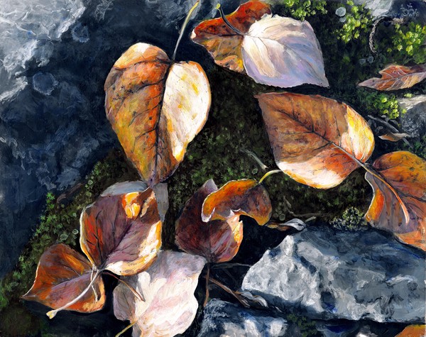 Knik River Leaves