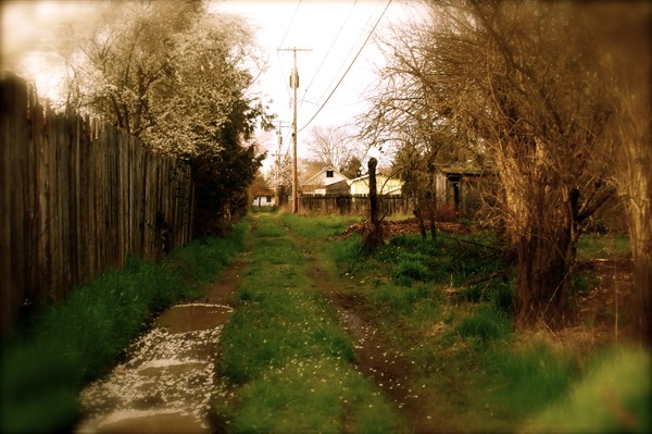 eugene alley 
