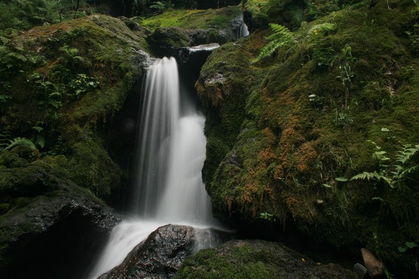 Water Fall