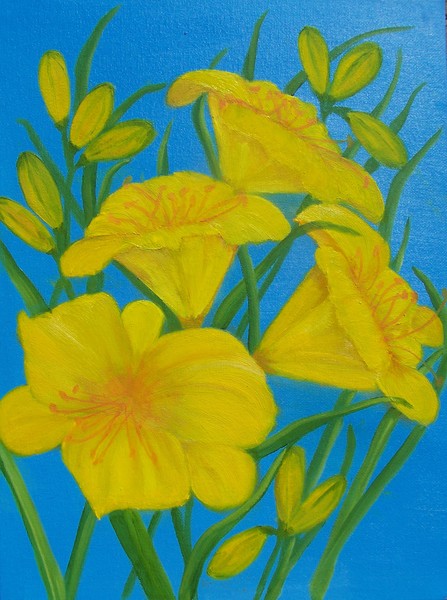 Day Lily