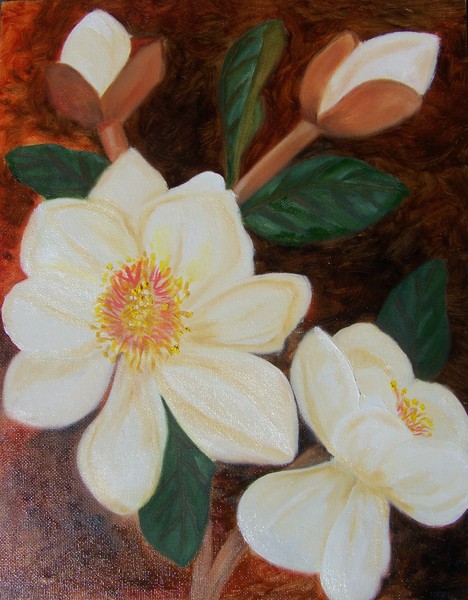 Just a Magnolia beauty