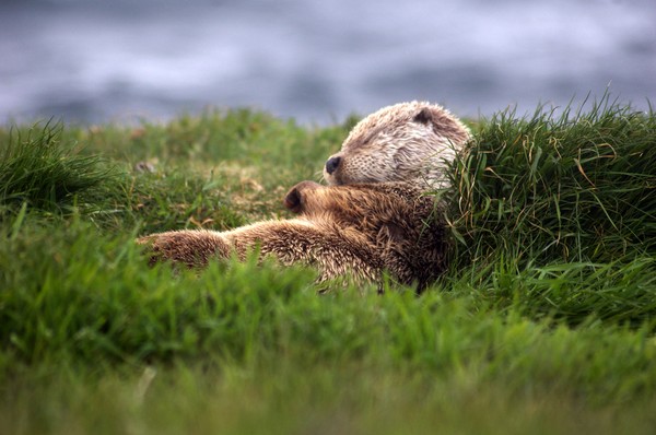 Sleeping Like A Baby