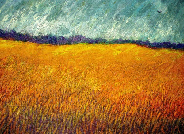 Field Under Stormy Sky