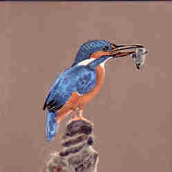 Kingfisher with the Goods