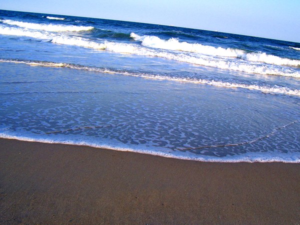 Shoreline