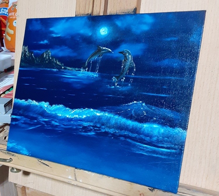 Midnight Dolphin Play