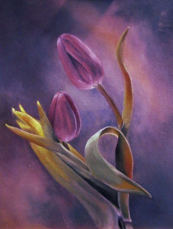 Tulips at Twilight