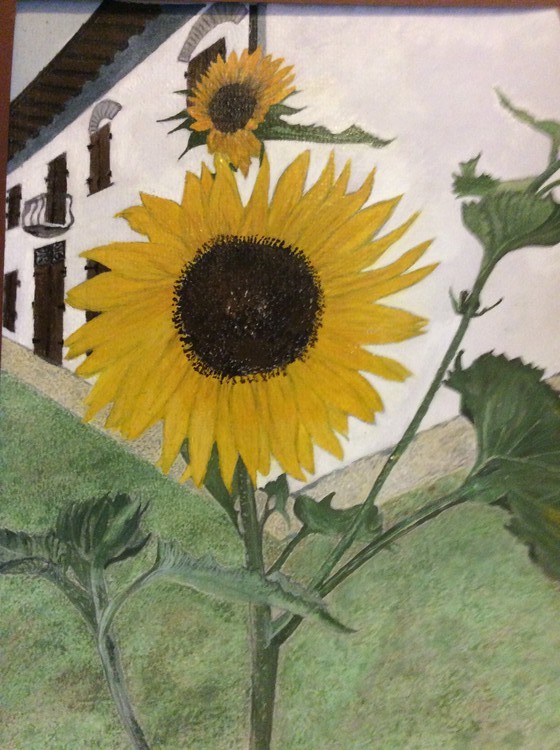 A country house in Vedole Italy