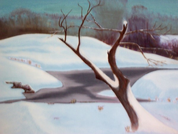 Wintertime in the Meadow
