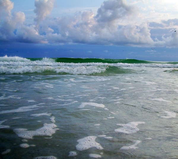 HI TIDE
