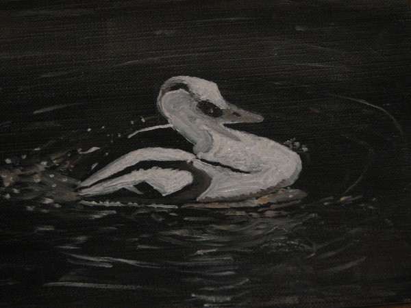 Asian Smew