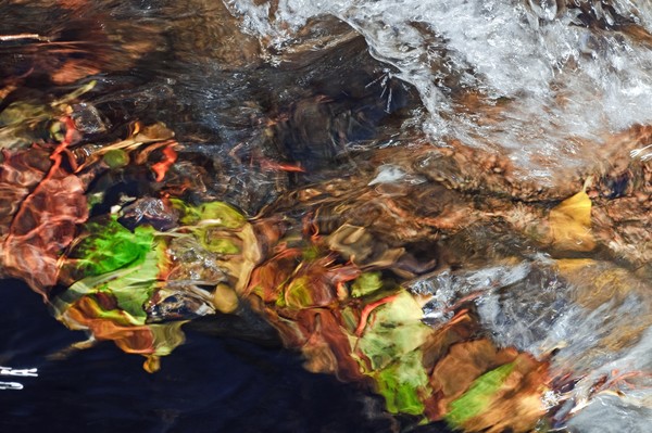 Water