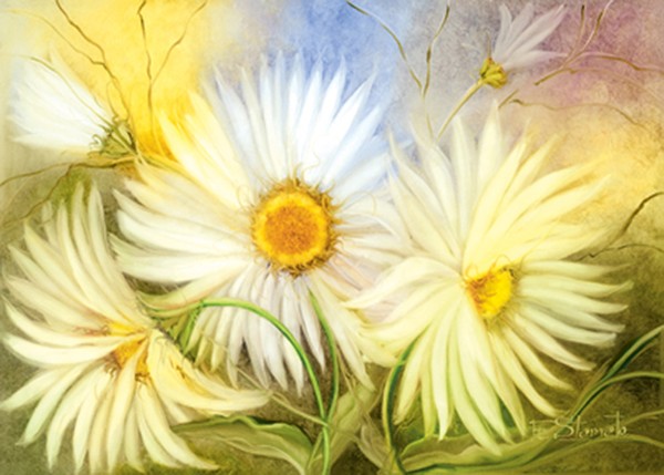 FS124-My daisies
