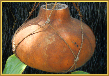 Roots of Aloha