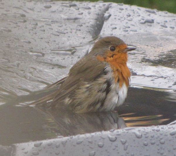 Having a Bath