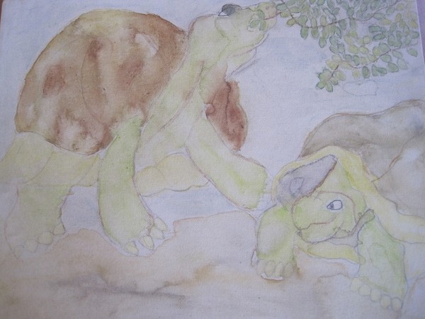 Watercolor Turtles