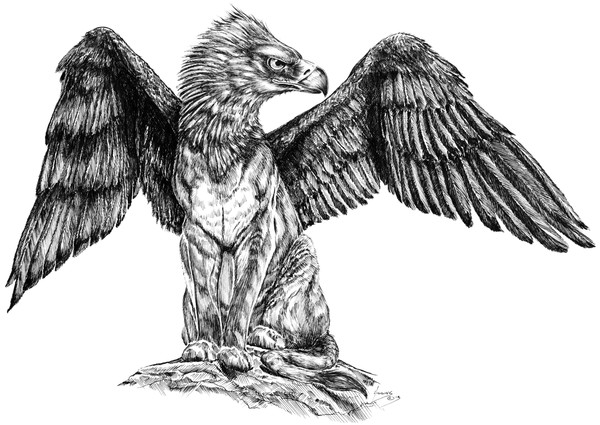 Griffin